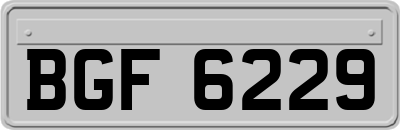 BGF6229