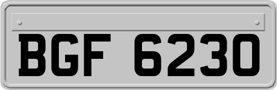 BGF6230