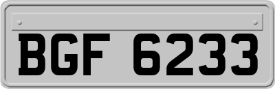 BGF6233