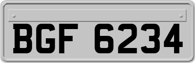 BGF6234