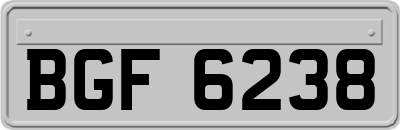 BGF6238