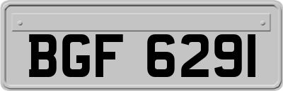 BGF6291
