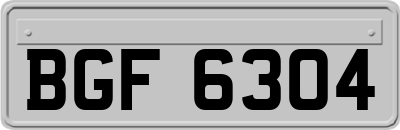 BGF6304