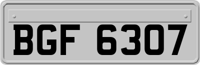 BGF6307