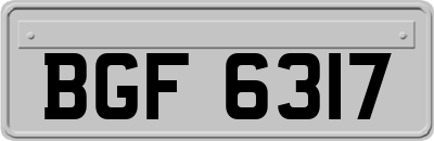BGF6317