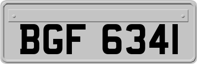 BGF6341