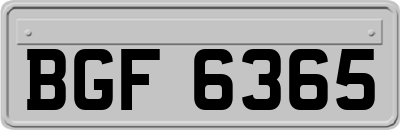 BGF6365