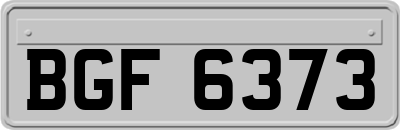 BGF6373