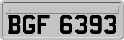 BGF6393