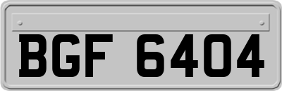 BGF6404