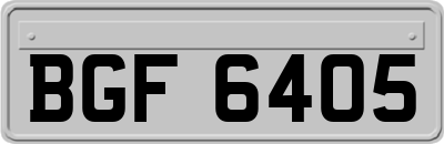 BGF6405