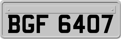 BGF6407