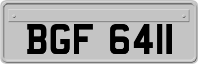 BGF6411
