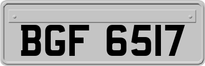 BGF6517