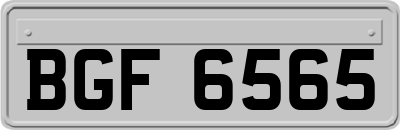 BGF6565
