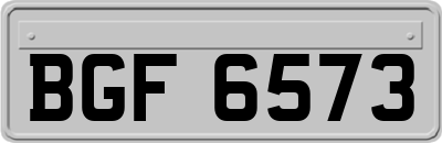 BGF6573
