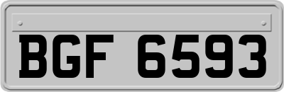 BGF6593