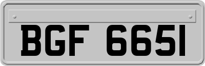 BGF6651