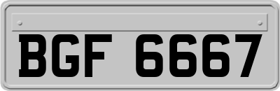 BGF6667