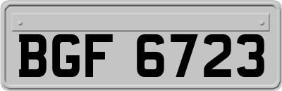 BGF6723