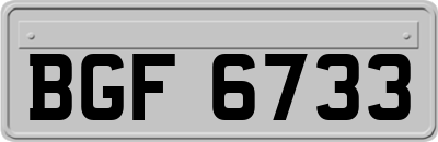 BGF6733