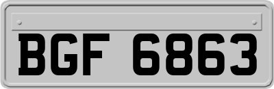 BGF6863