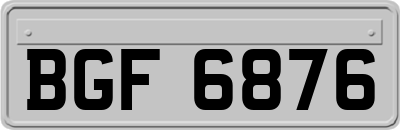 BGF6876