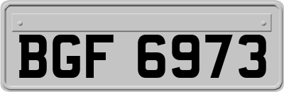 BGF6973