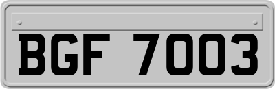 BGF7003