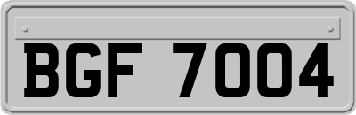 BGF7004