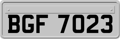 BGF7023