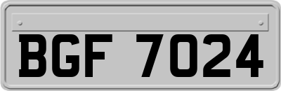 BGF7024
