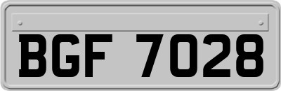 BGF7028