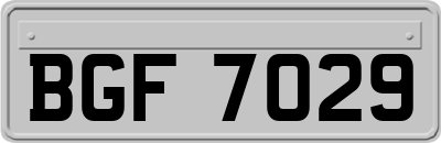 BGF7029