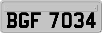 BGF7034