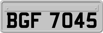 BGF7045