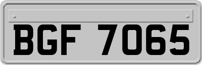 BGF7065