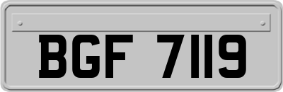 BGF7119