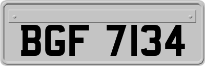 BGF7134