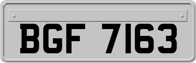 BGF7163