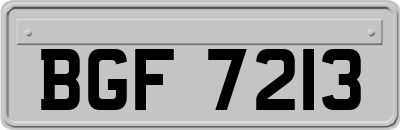 BGF7213