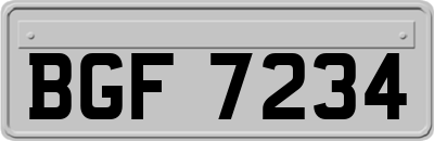 BGF7234