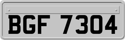 BGF7304