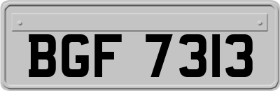 BGF7313