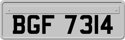 BGF7314