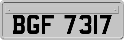 BGF7317