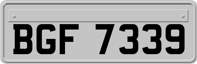 BGF7339