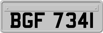 BGF7341