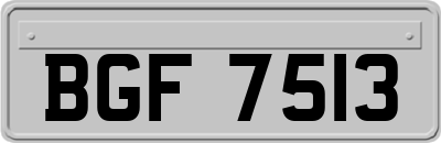 BGF7513
