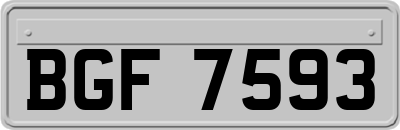 BGF7593
